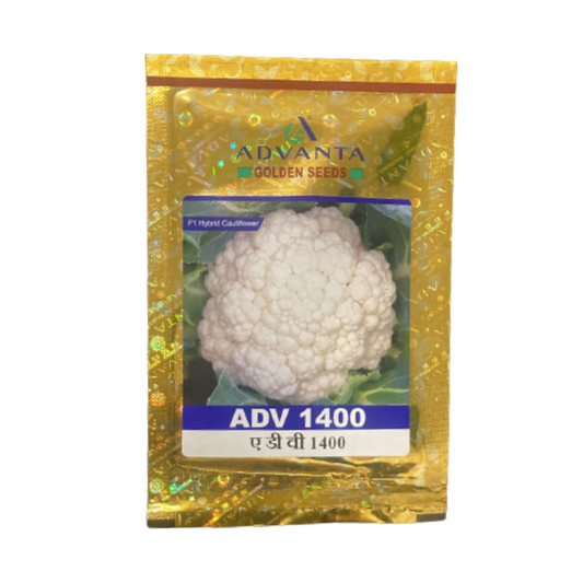 ADV 1400 Cauliflower Seeds - Advanta | F1 Hybrid | Buy Online at Best Price