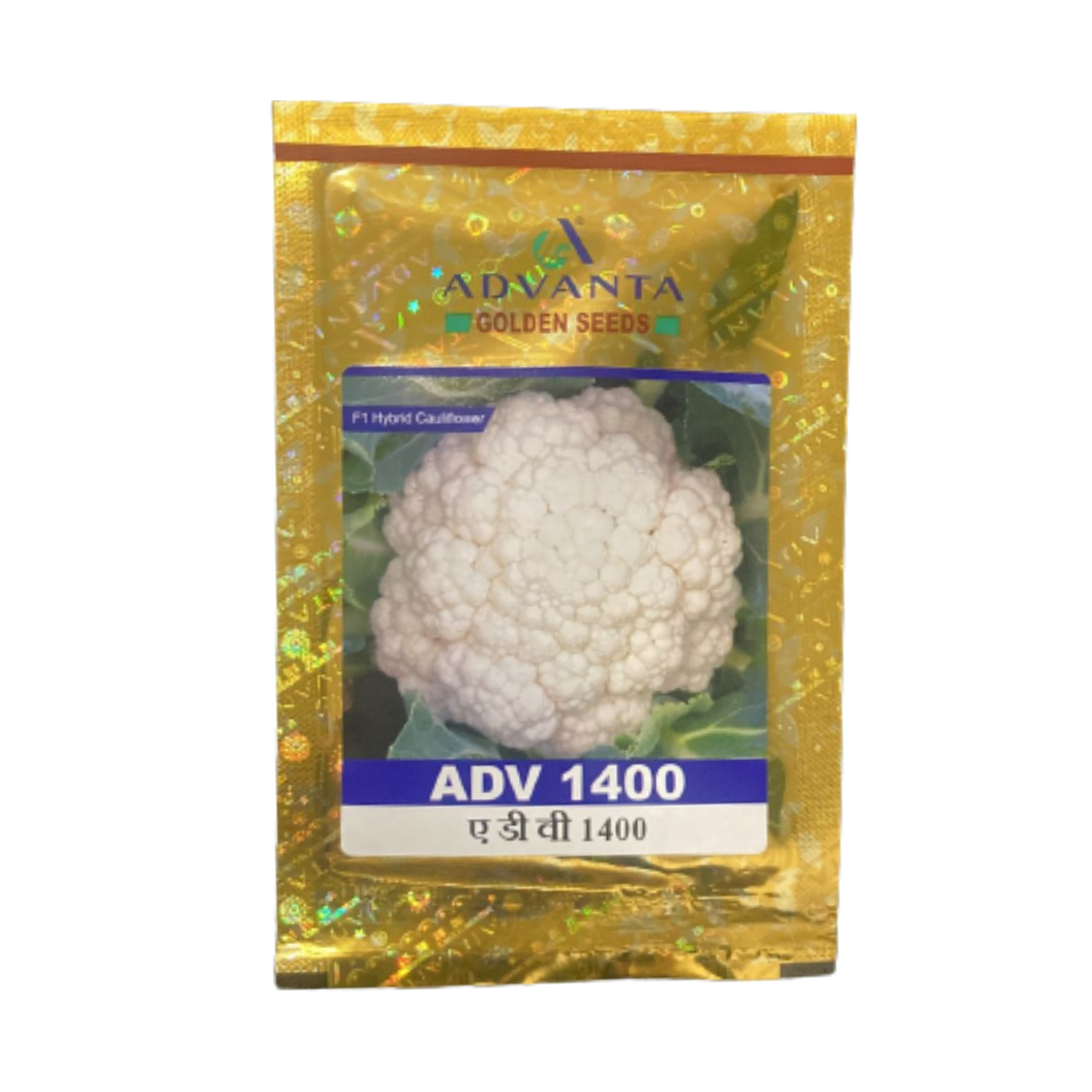 ADV 1400 Cauliflower Seeds - Advanta | F1 Hybrid | Buy Online at Best Price