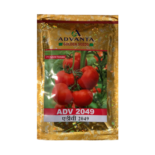 ADV 2049 Tomato Seeds - Advanta | F1 Hybrid | Buy Online at Best Price