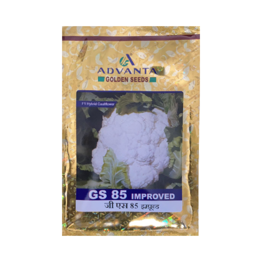 GS 85 Improved Cauliflower Seeds - Advanta | F1 Hybrid | Buy Online at Best Price