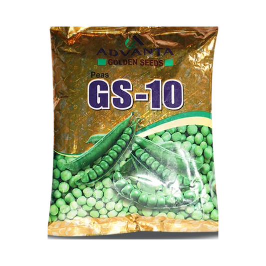 GS-10 Pea Seeds - Advanta | F1 Hybrid | Buy Online at Best Price
