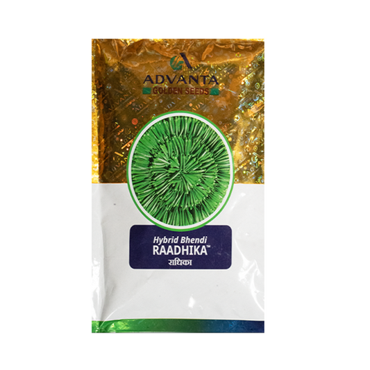 Raadhika Bhindi Seeds - Advanta | F1 Hybrid | Buy Online at Best Price