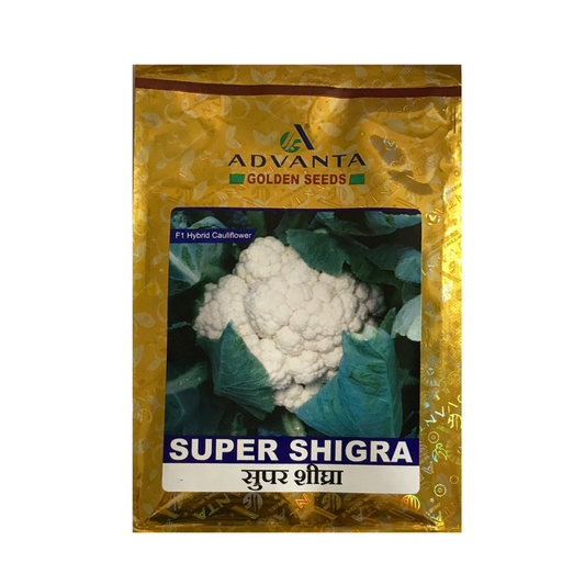 Super Shigra Cauliflower Seeds - Advanta | F1 Hybrid | Buy Online at Best Price