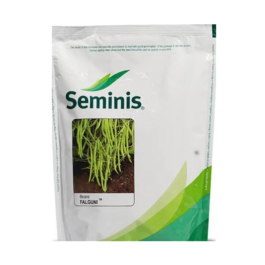 Falguni Garden Beans Seeds - Seminis | F1 Hybrid | Buy Online at Best Price