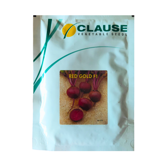 Red Gold Beetroot Seeds - HM Clause | F1 Hybrid | Buy Online at Best Price