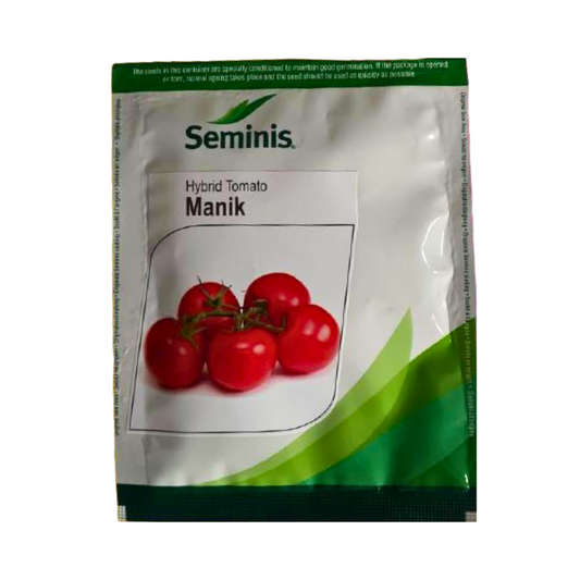 Manik Tomato Seeds - Seminis | F1 Hybrid | Buy Online at Best Price