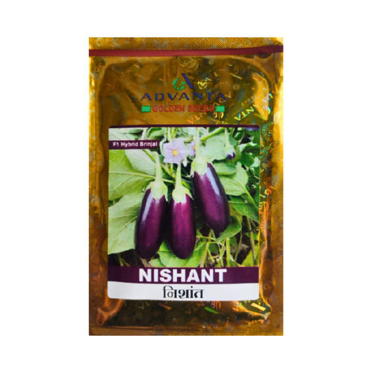 Nishant Brinjal Seeds - Advanta | F1 Hybrid | Buy Online at Best Price