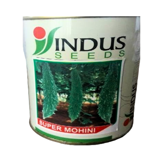 Indus Super Mohini Bitter Gourd Seeds | F1 Hybrid | Buy Online at Best Price