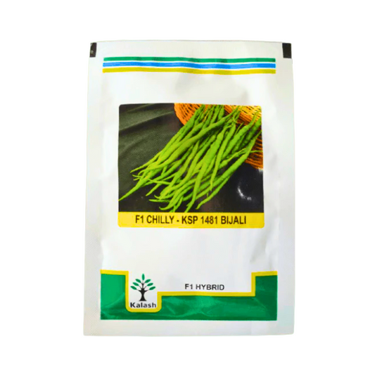 KSP 1481 Bijali Chilli Seeds - Kalash | F1 Hybrid | Buy Online at Best Price