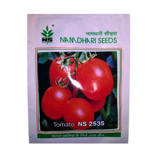 NS 2535 Tomato Seeds - Namdhari | F1 Hybrid | Buy Online at Best Price