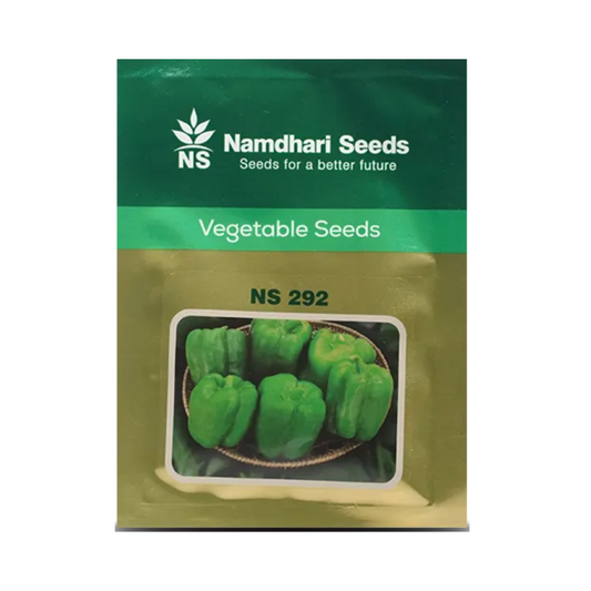 NS 292 Capsicum Seeds -Namdhari | F1 Hybrid | Buy Online at Best Price