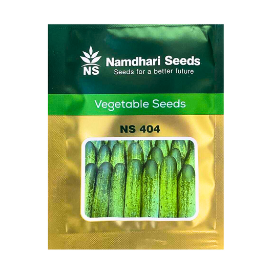 NS 404 Cucumber Seeds - Namdhari | F1 Hybrid | Buy Online at Best Price