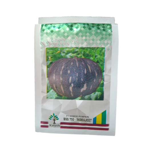 BSS 750 Indrajeet Pumpkin Seeds - Kalash | F1 Hybrid | Buy Online at Best Price