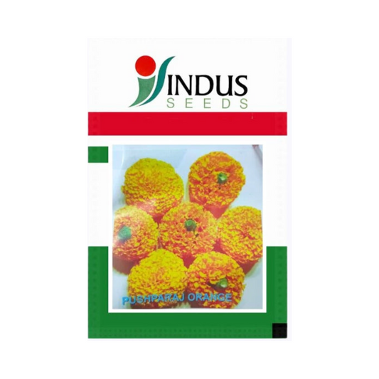 Indus Marigold Pushparaj Orange Seeds | F1 Hybrid | Buy Online at Best Price