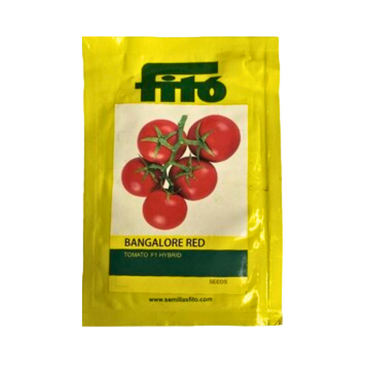 Bangalore Red Tomato Seeds - Fito | F1 Hybrid | Buy Online at Best Price