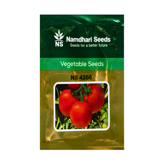 NS 4266 Tomato Seeds - Namdhari | F1 Hybrid | Buy Online at Best Price
