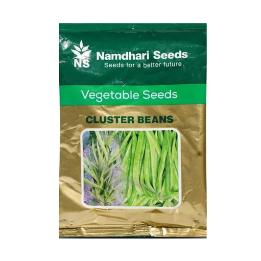 NS 662 Cluster Beans Seeds - Namdhari | F1 Hybrid | Buy Online at Best Price