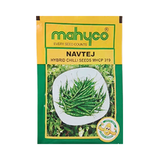 Navtej Chilli Seeds - Mahyco | F1 Hybrid | Buy Online at Best Price