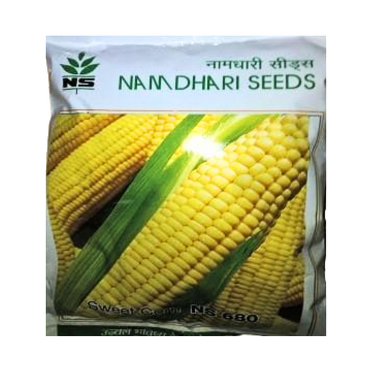 NS 680 Sweet Corn Seeds - Namdhari | F1 Hybrid | Buy Online at Best Price