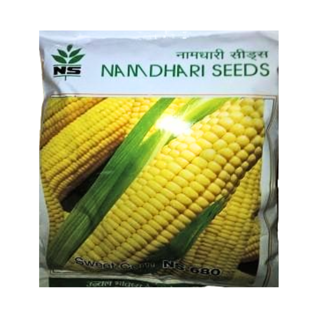 NS 680 Sweet Corn Seeds - Namdhari | F1 Hybrid | Buy Online at Best Price