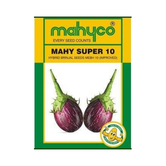 Super 10 Brinjal Seeds - Mahyco | F1 Hybrid | Buy Online at Best Price