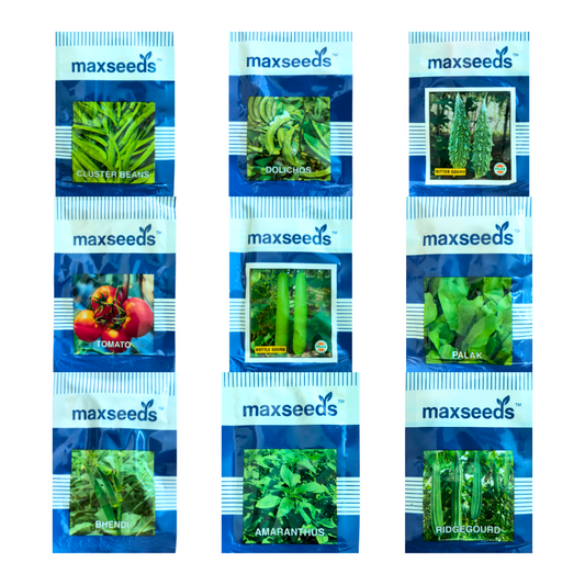 Vegetable Seed Kit (9 Types) - Max | F1 Hybrid | Buy Online at Best Price