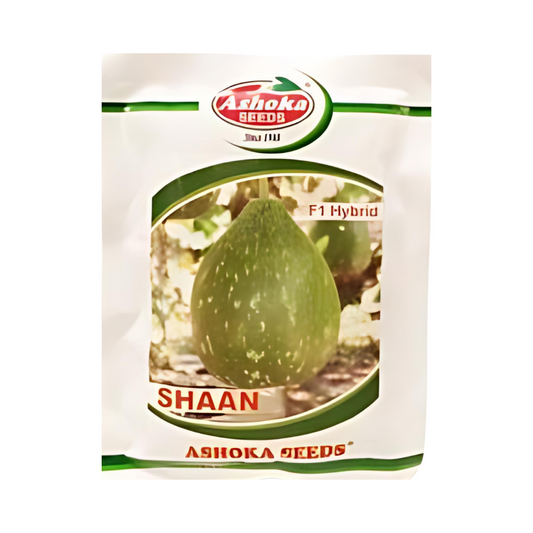 Shaan Bottle gourd Seeds - Ashoka | F1 Hybrid | Buy Online at Best Price