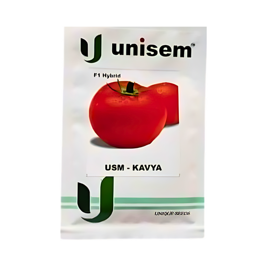 USM - Kavya Tomato Seeds