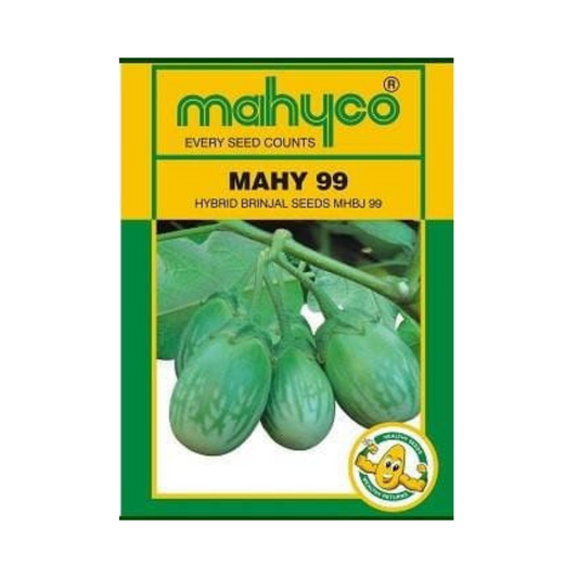 MAHY 99 Brinjal Seeds - Mahyco | F1 Hybrid | Buy Online at Best Price