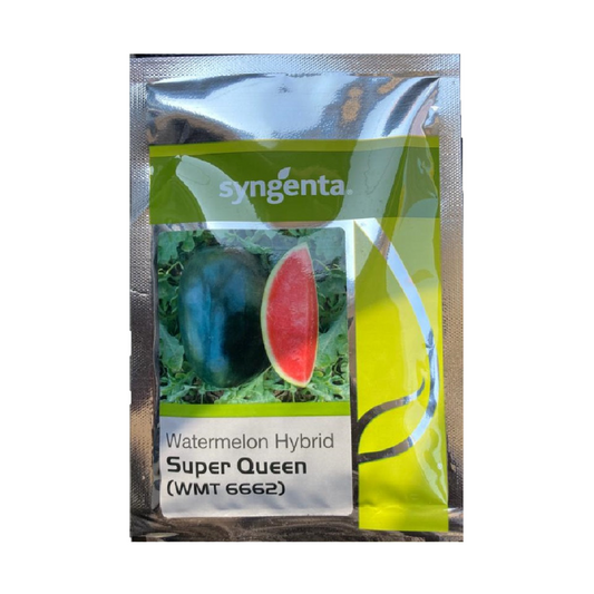 Super Queen Watermelon Seeds - Syngenta | F1 Hybrid | Buy Online at Best Price