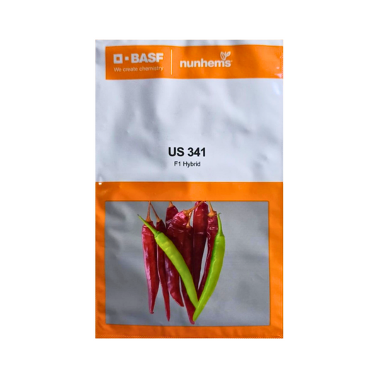 US 341 Chilli Seeds - Nunhems | F1 Hybrid | Buy Online at Best Price