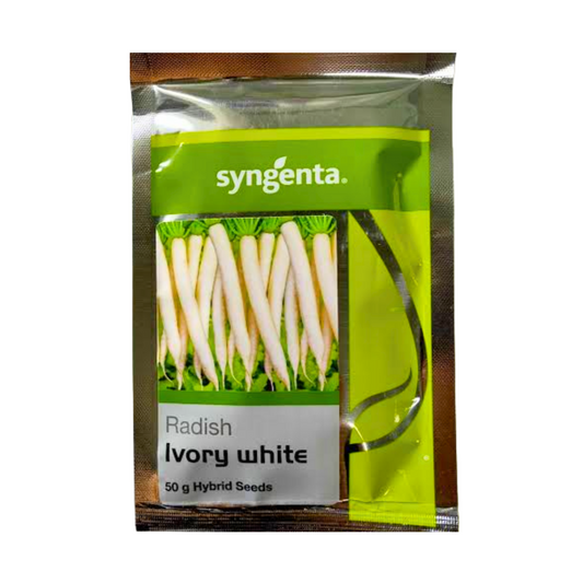 Ivory White Radish Seeds - Syngenta | F1 Hybrid | Buy Online at Best Price