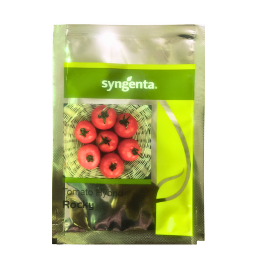 Rocky Tomato Seeds - Syngenta | F1 Hybrid | Buy Online at Best Price