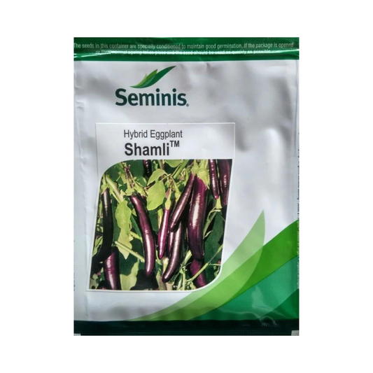 Shamli Brinjal Seeds | Buy Online At Best Price