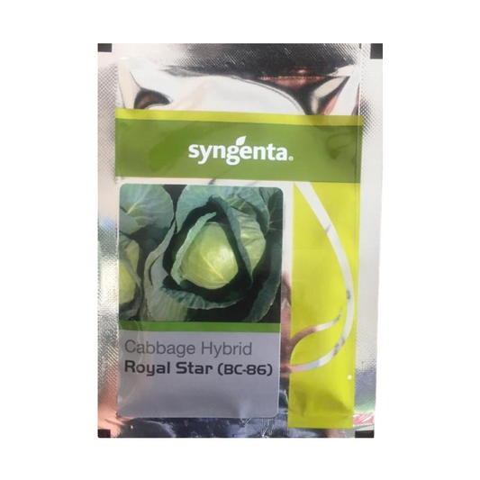 Royal Star BC86 Cabbage Seeds - Syngenta | F1 Hybrid | Buy Online at Best Price