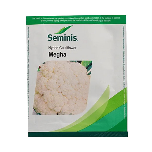 Megha Cauliflower Seeds - Seminis | F1 Hybrid | Buy Online - DesiKheti