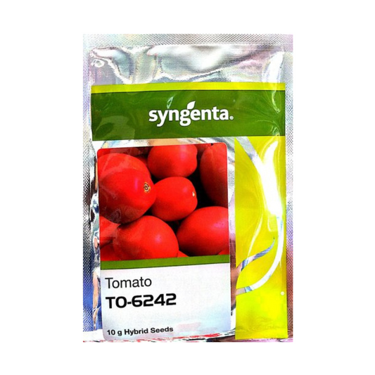To 6242 Tomato Seeds - Syngenta | F1 Hybrid | Buy Online at Best Price