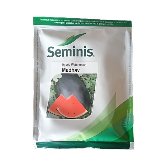 Madhav Watermelon Seeds - Seminis | F1 Hybrid | Buy Online At Best Price
