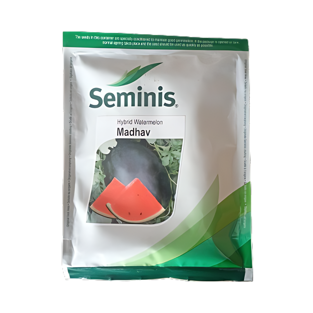 Madhav Watermelon Seeds - Seminis | F1 Hybrid | Buy Online At Best Price