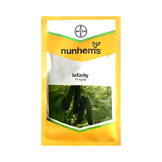 Infinity Cucumber Seeds - Nunhems | F1 Hybrid | Buy Online at Best Price