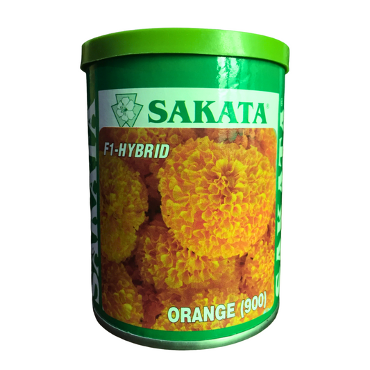 Orange 900 Marigold Seeds - Sakata | F1 Hybrid | Buy Online at Best Price
