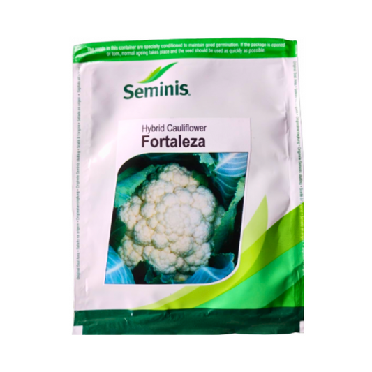 Fortaleza Cauliflower Seeds - Seminis | F1 Hybrid | Buy Online At Best Price