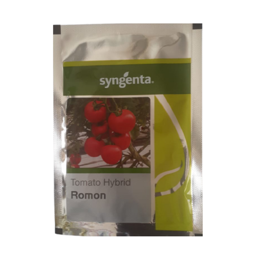 Romon Tomato Seeds - Syngenta | F1 Hybrid | Buy Online at Best Price