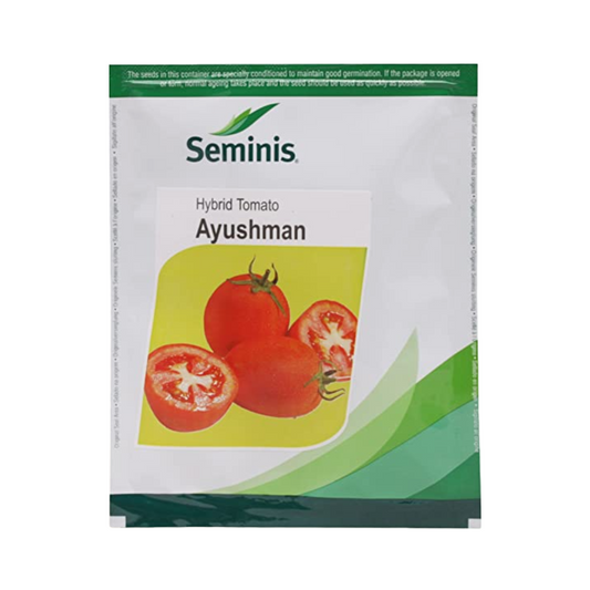 Ayushman Tomato Seeds - Seminis | F1 Hybrid | Buy Online at Best Price