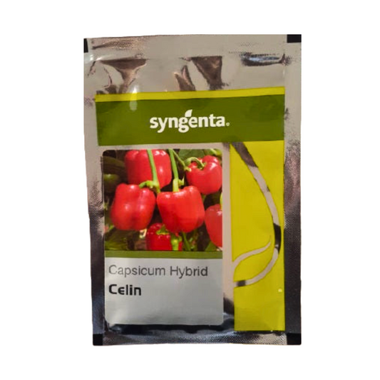 Celin Capsicum  Seeds - Syngenta | F1 Hybrid | Buy Online at Best Price