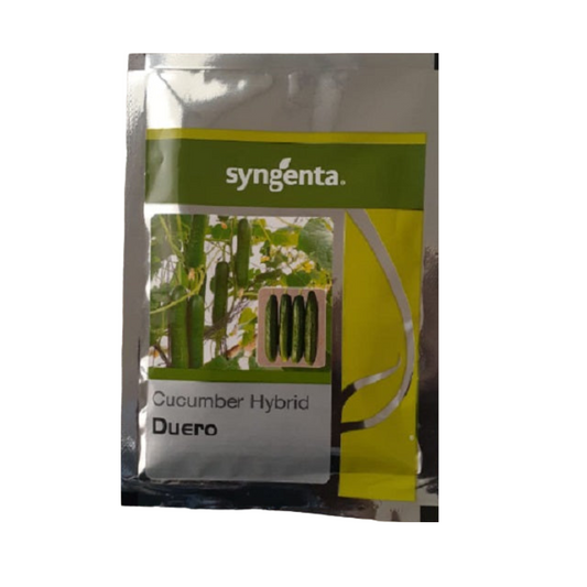 Duero Cucumber Seeds - Syngenta | F1 Hybrid | Buy Online at Best Price