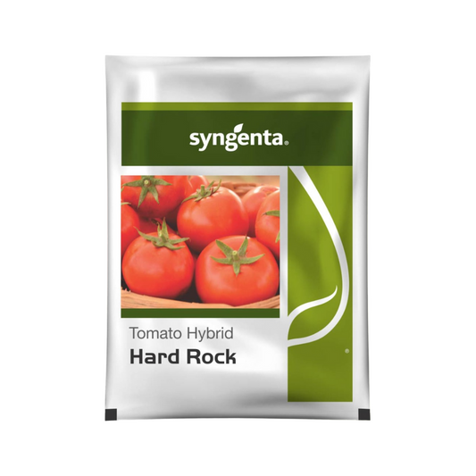 Hard Rock Tomato Seeds - Syngenta | F1 Hybrid | Buy Online at Best Price