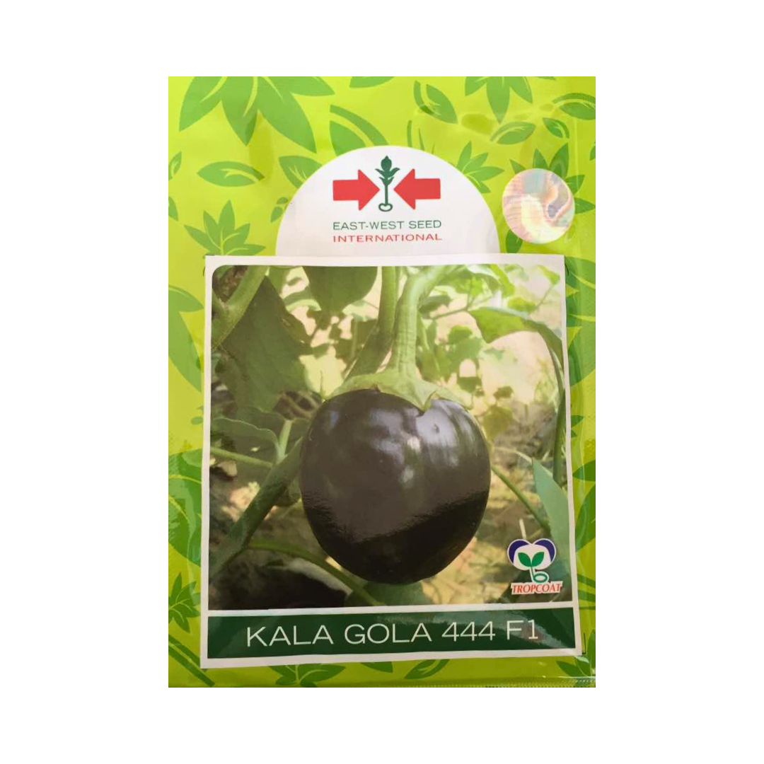 Kala Gola 444 Brinjal Seeds - East West | F1 Hybrid | Buy Online at Best Price