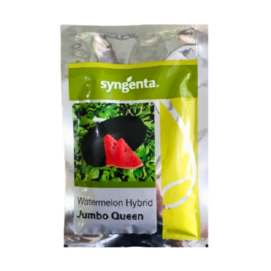 Jumbo Queen Watermelon Seeds - Syngenta | F1 Hybrid | Buy Online at Best Price