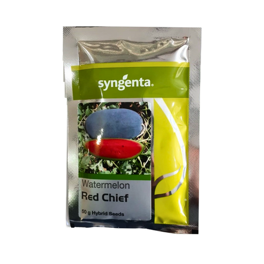 Red Chief Watermelon Seeds - Syngenta | F1 Hybrid | Buy Online at Best Price